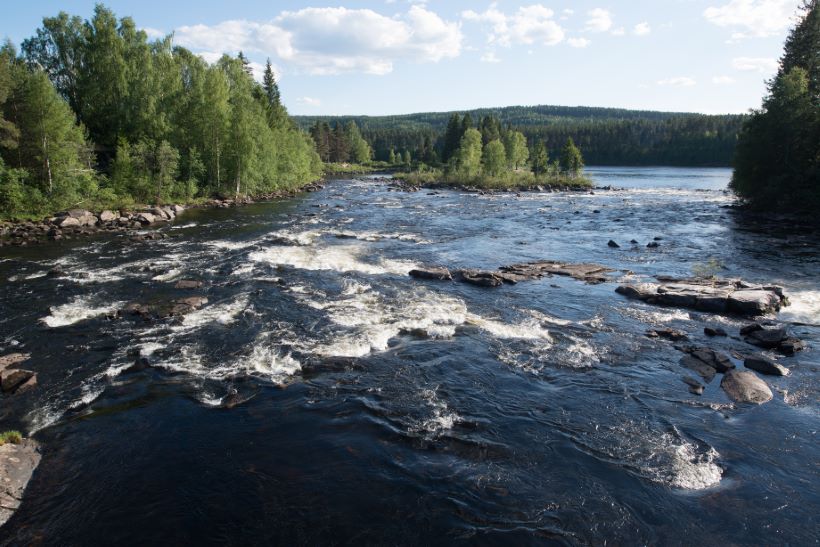 eiendomsmegler Elverum