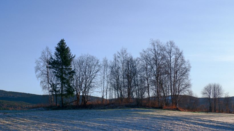 eiendomsmegler Hurdal