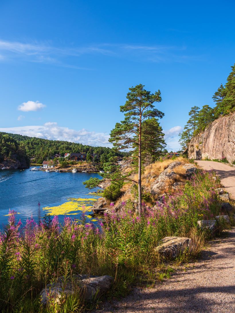 eiendomsmegler Søgne